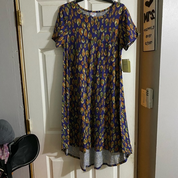 LuLaRoe Dresses & Skirts - LuLaRoe Carly